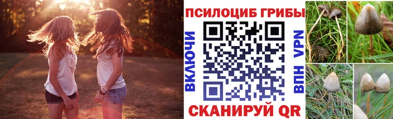 как найти закладки  Мончегорск  Псилоцибиновые грибы мухоморы 